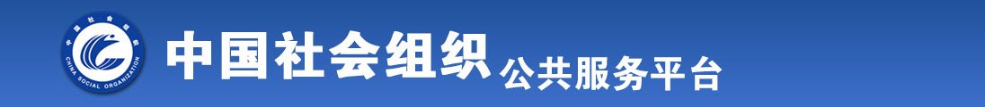 啊啊啊视频极品全国社会组织信息查询